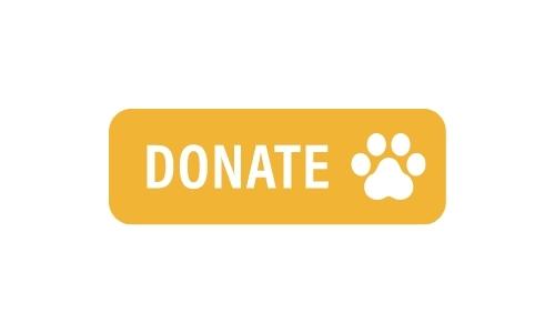 donate-button-5