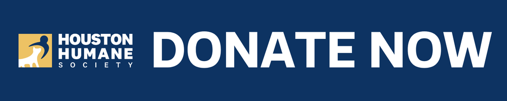 donate-now-button-with-logo