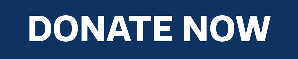 donate-now-button