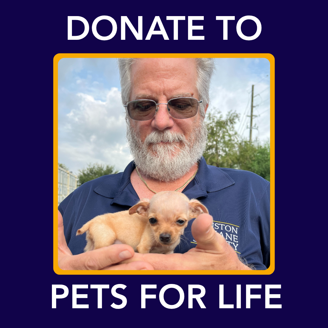 donate-to-pets-for-life