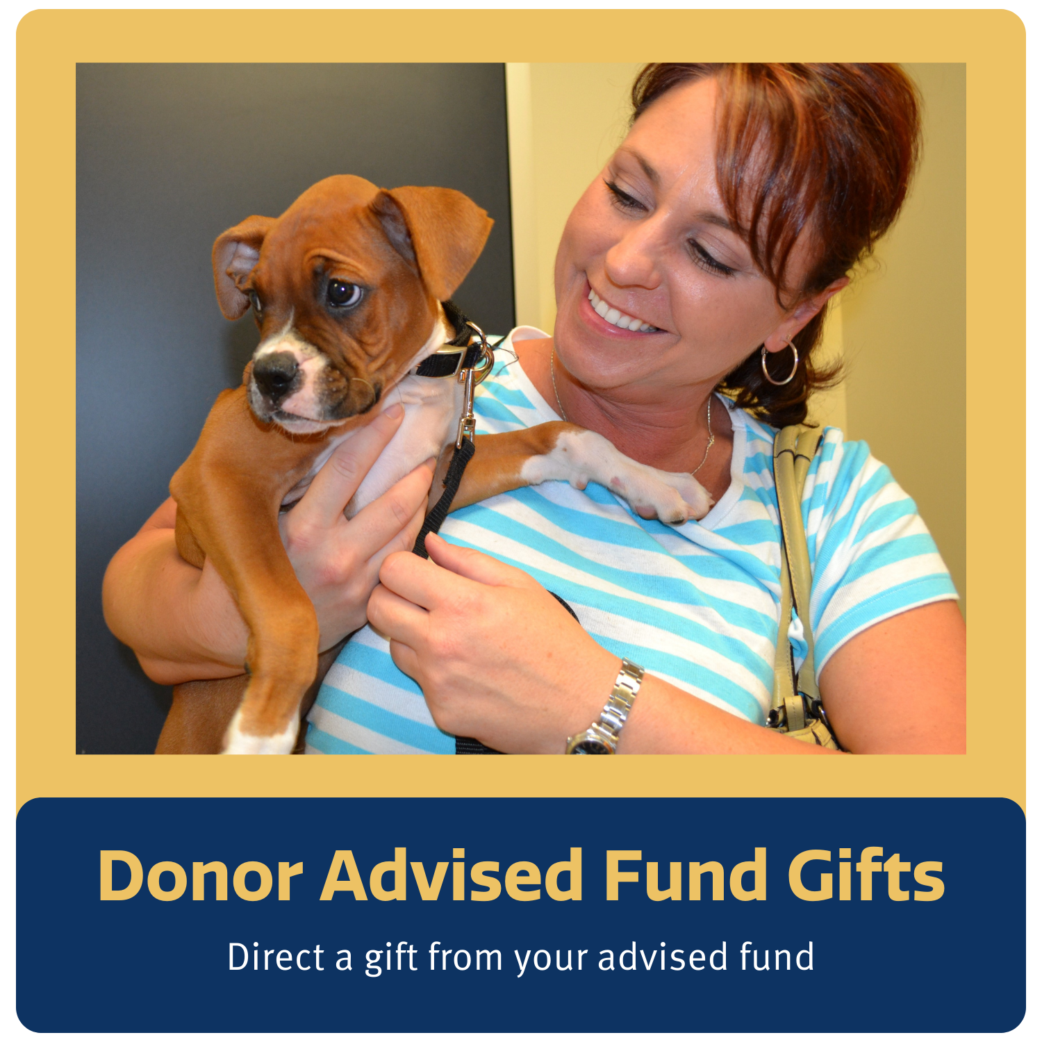 donor-advised-fund-gifts