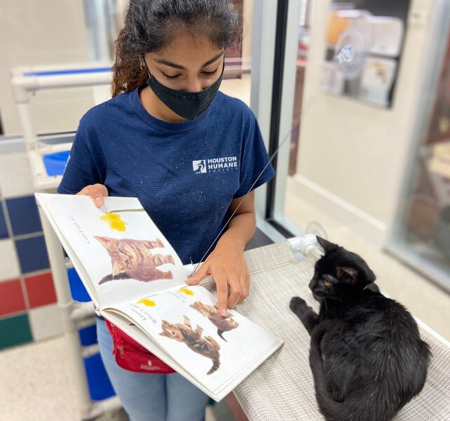 enrichment-reading-pic