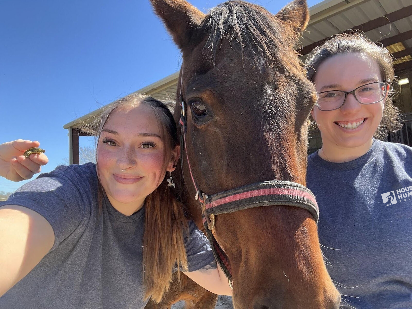 equine-page-1-new-logo