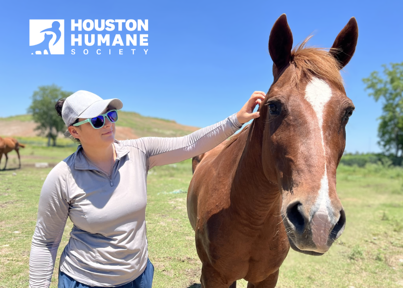 Houston Humane Society | A Second Chance for Texas Farm Animals