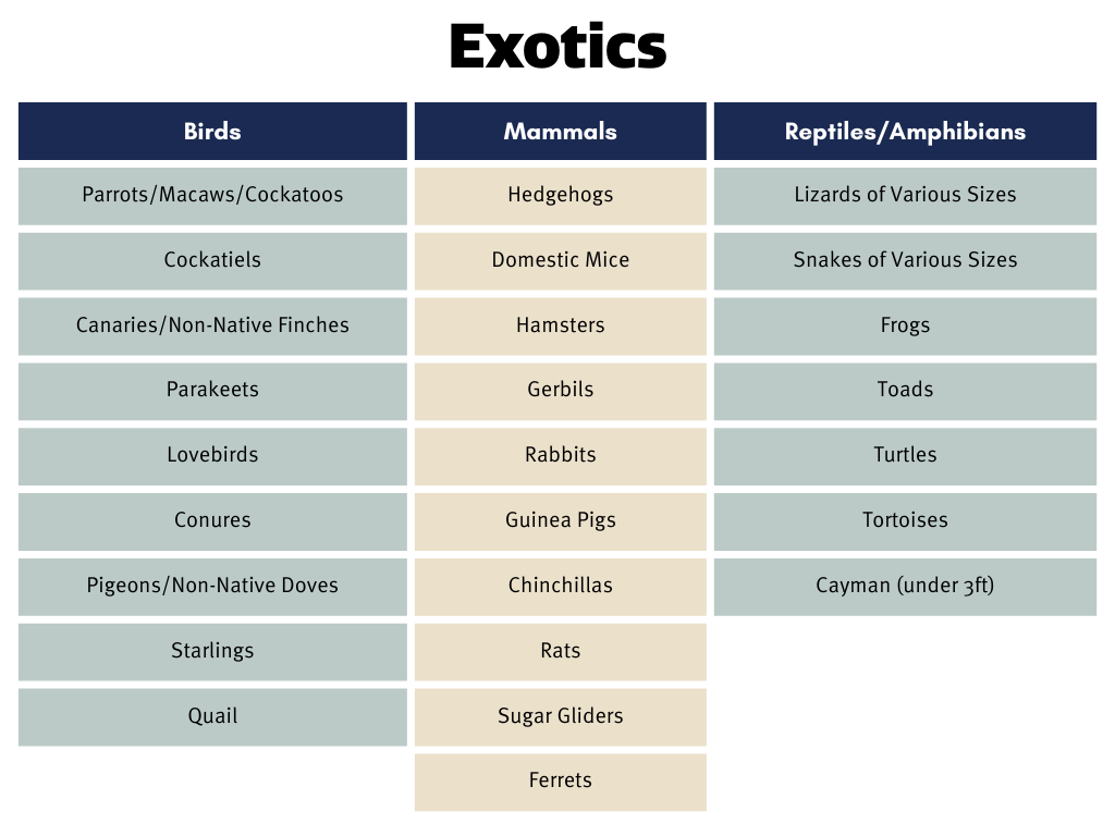 exotics-intake-table