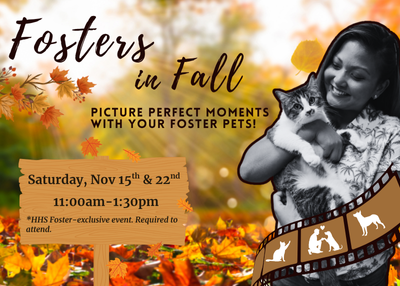 Houston Humane Society | Fall with Fosters Photoshoot