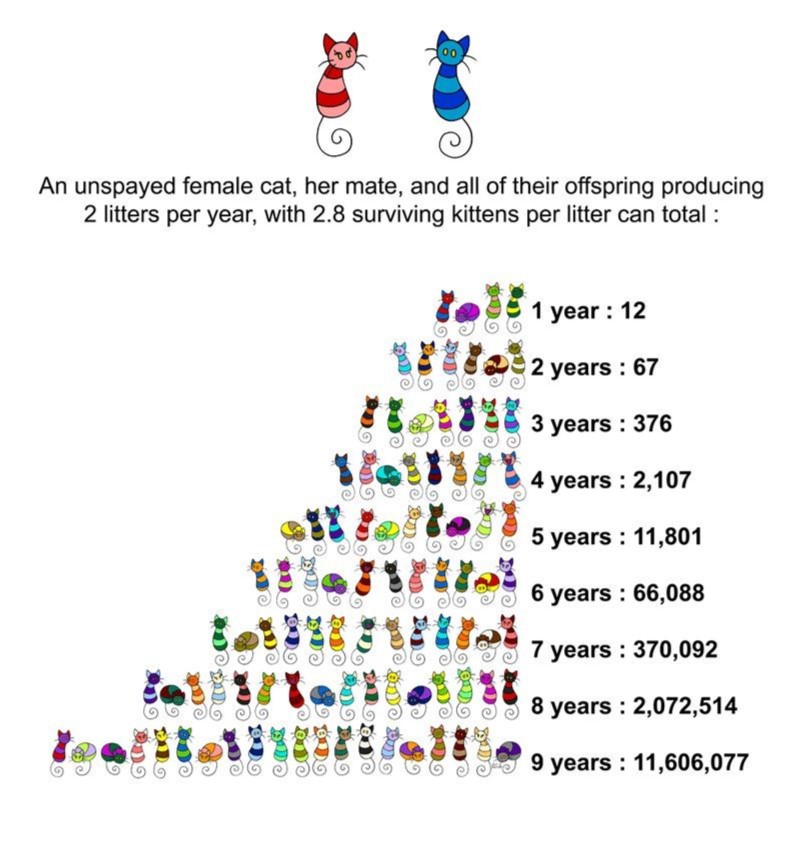 ffnumbers