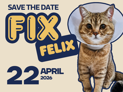 Houston Humane Society | Fix Felix