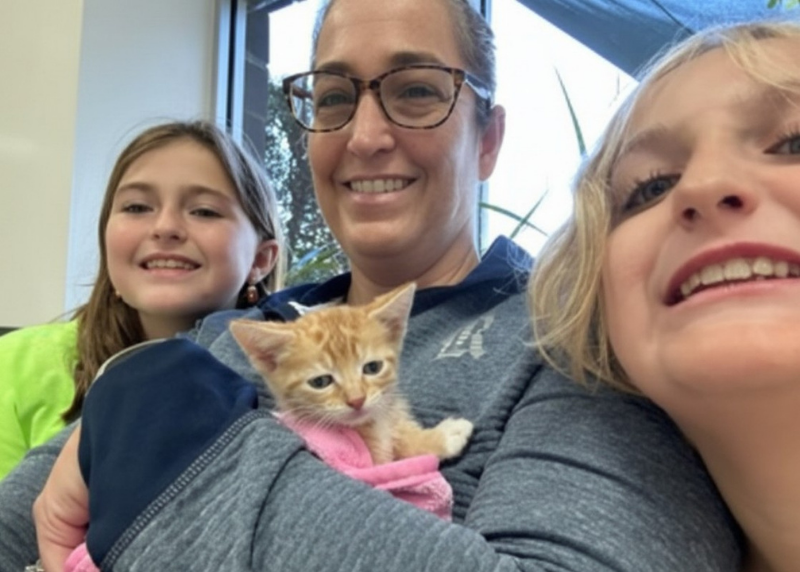 Houston Humane Society | Why I Foster: Meet Dawn