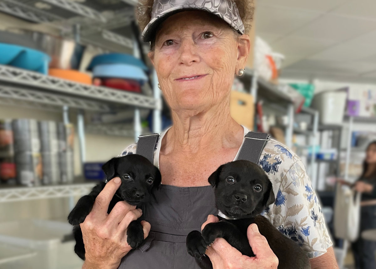 Houston Humane Society | Why I Foster: Meet Debbie