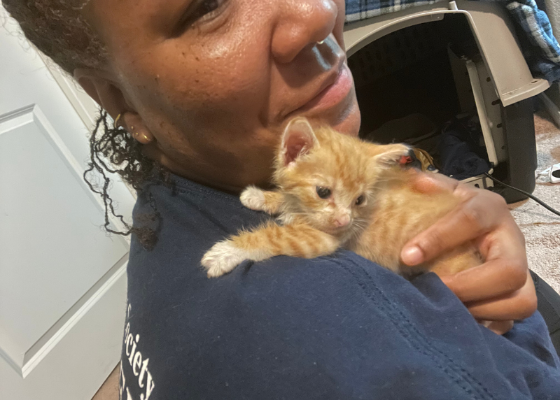 Houston Humane Society | Why I Foster: Meet Heather