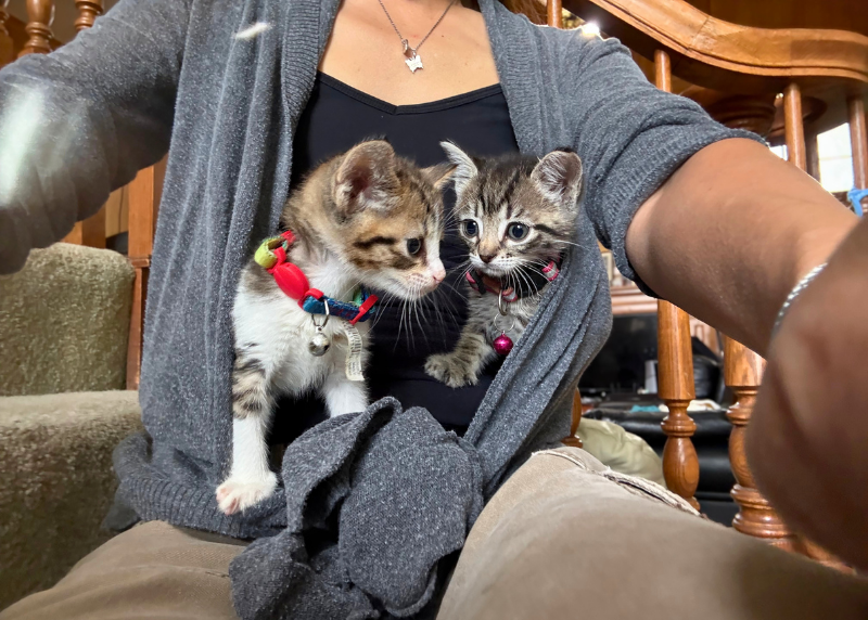 Houston Humane Society | Why I Foster: Meet Jenny