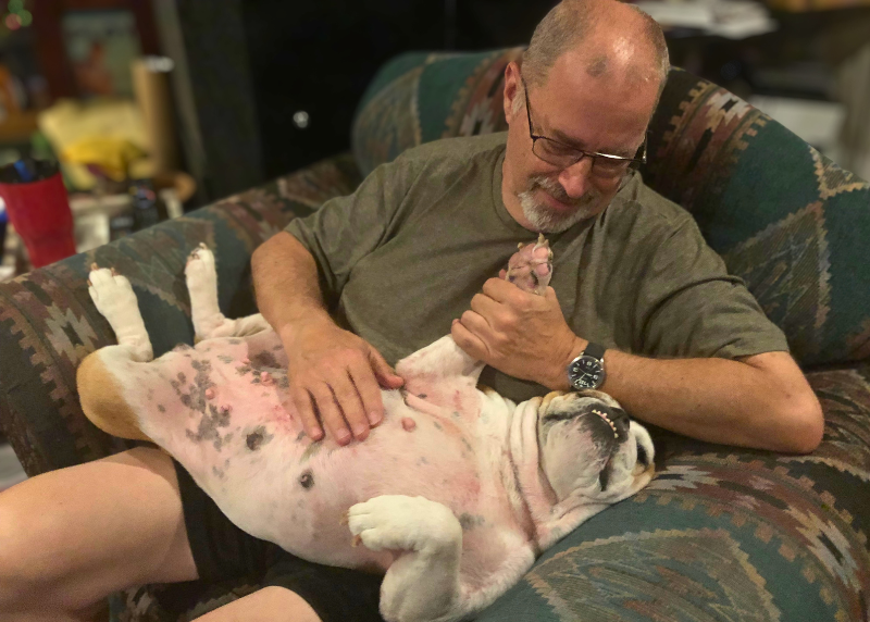 Houston Humane Society | Why I Foster: Meet Stephen