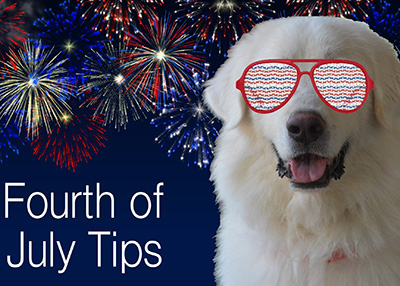 Houston Humane Society | Fourth Of July Tips