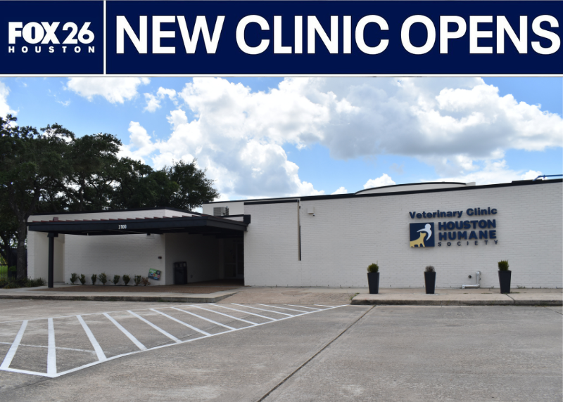 Houston Humane Society | FOX 26 Visits Houston Humane Society Veterinary Clinic