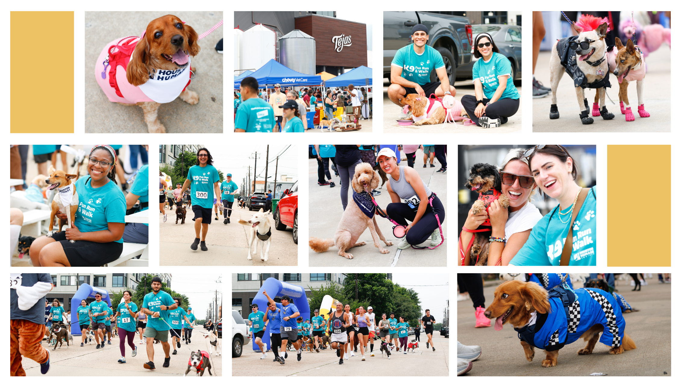 fun-run-webpage-collage