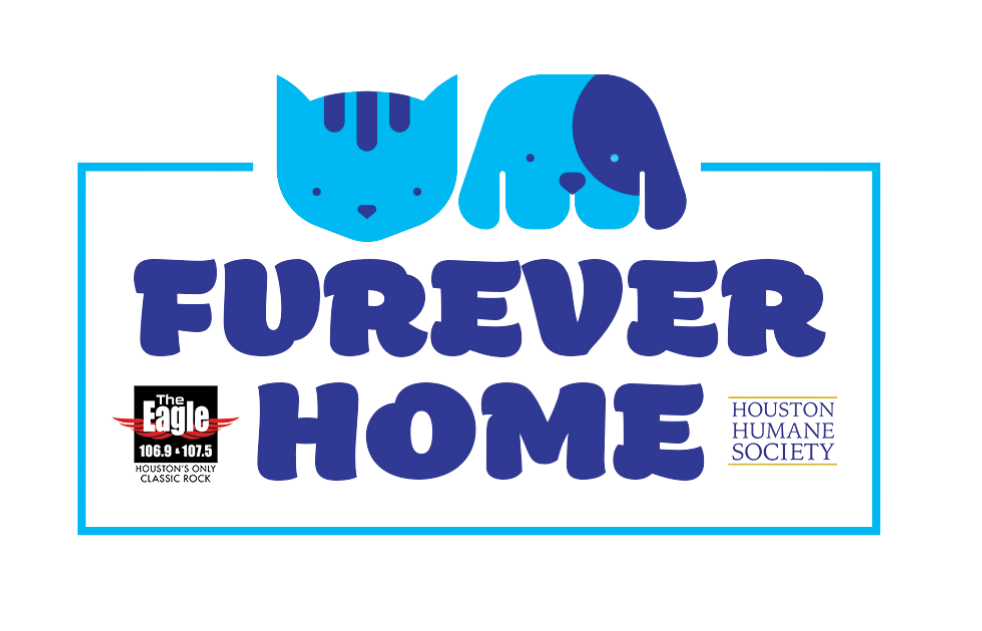 furever-home