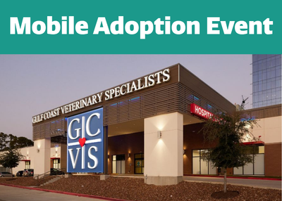 Houston Humane Society | Mobile Adoption Event
