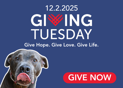 Houston Humane Society | Save the Date: Giving Tuesday - December 2, 2025