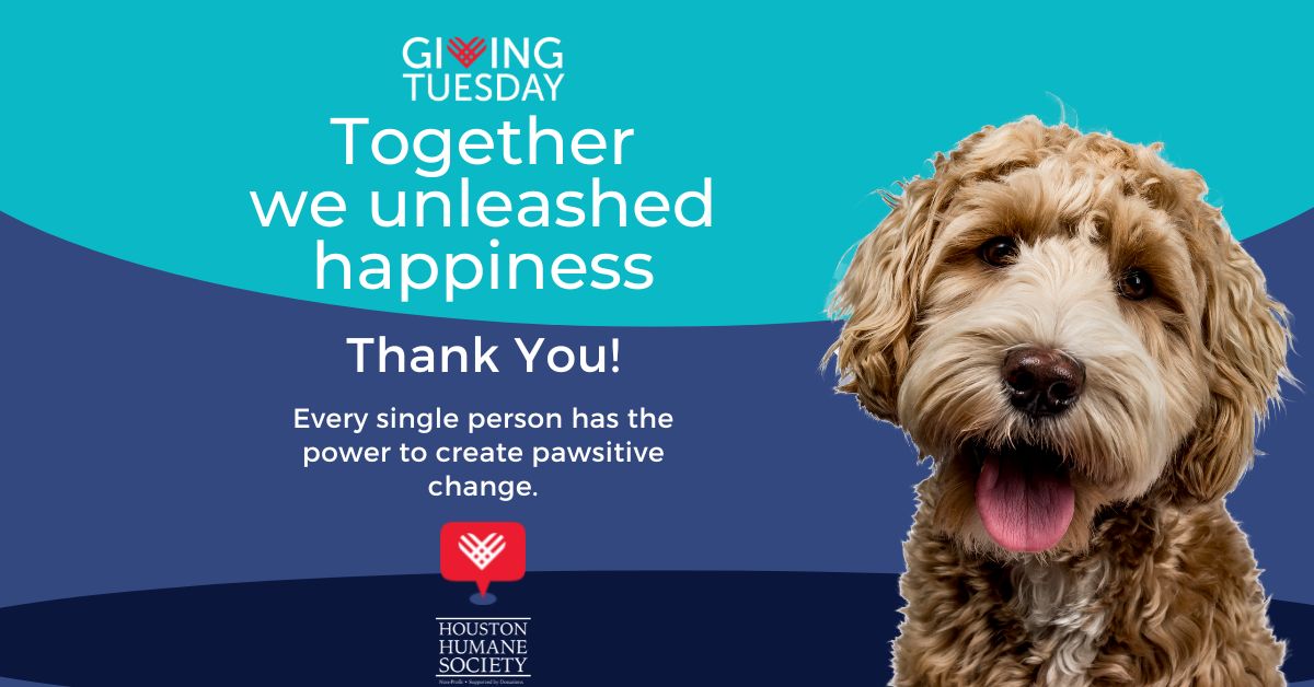 giving-tuesday-thank-you