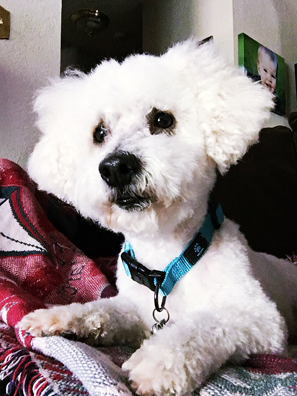 happytaildwayne3