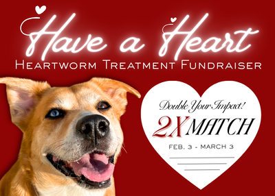 Houston Humane Society | Have a Heart