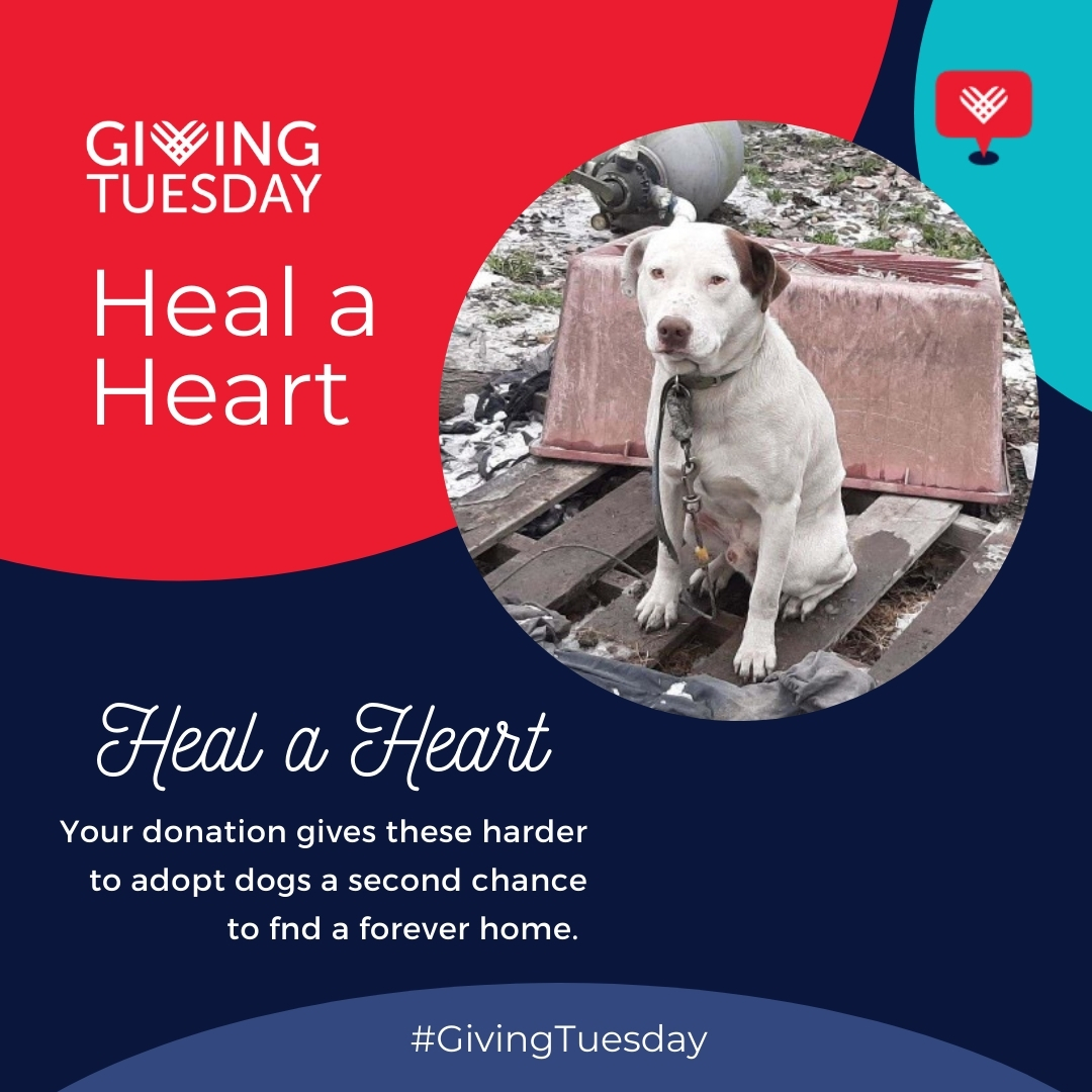 have-a-heart