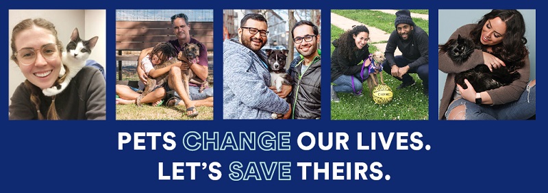 headerimage-petschangeourlivesbwg1oki