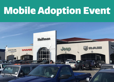 Houston Humane Society | Mobile Adoptions @ Helfman Automobile Dealership
