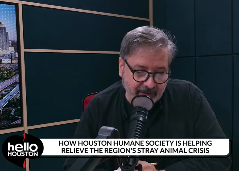 Houston Humane Society | Houston's Stray Animal Crisis: Houston Humane Society Shares Solutions on News 88.7