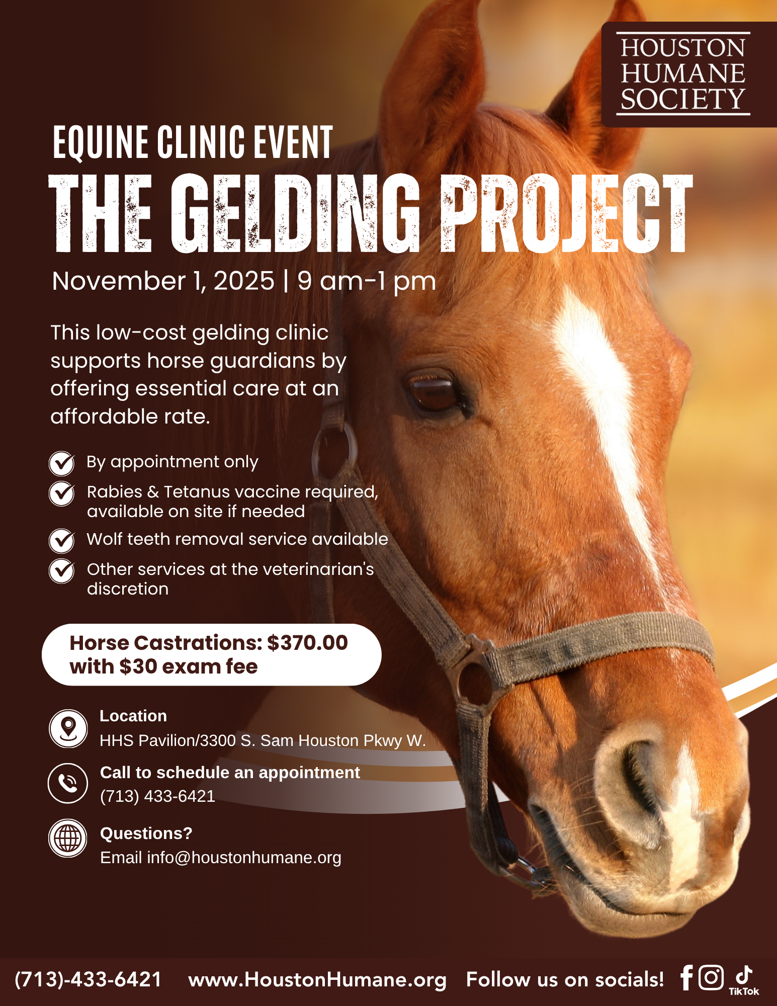 horse-castration-event-11125-flyer
