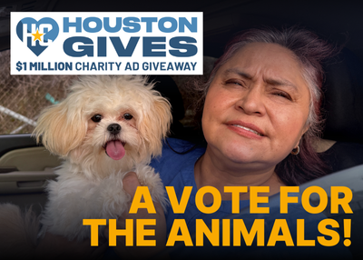 Houston Humane Society | Houston Gives Voting
