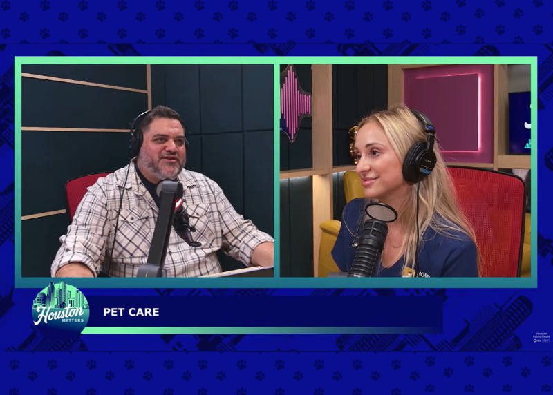 Houston Humane Society | Houston Humane Society’s Dr. Renee Poche Answers Common Pet Health Questions