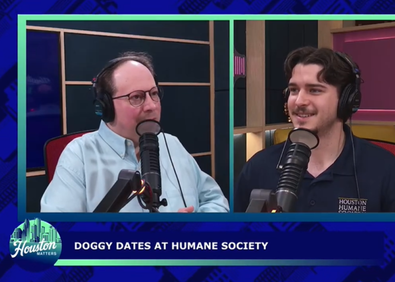 Houston Humane Society | Houston Humane Society’s Doggy Day Out Program Featured on News 88.7