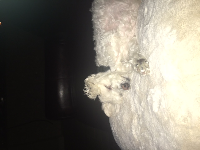 ht-jeffey-and-missy2