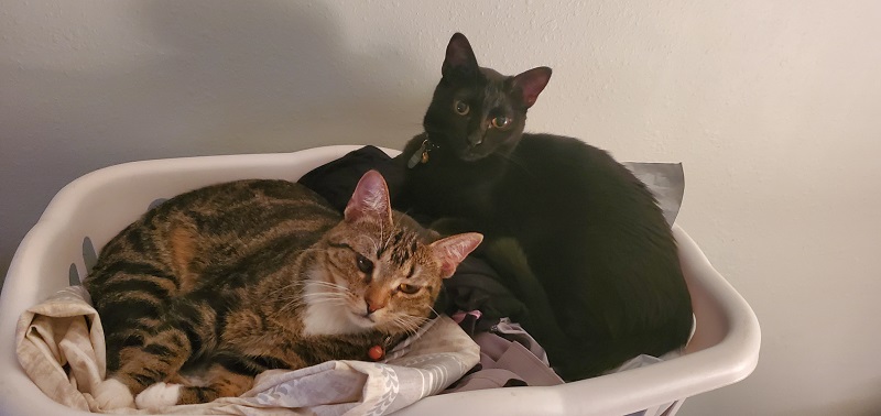 htbunzs2