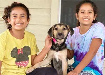 Houston Humane Society | Happy Tail CoCo Chanel