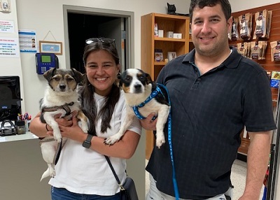 Houston Humane Society | Happy Tail Dixie