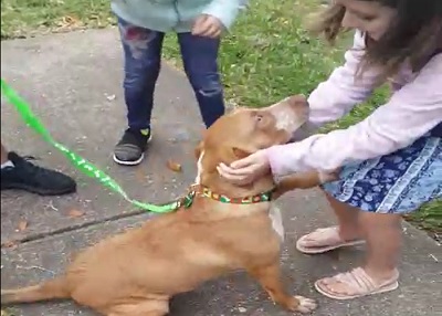 Houston Humane Society | Happy Tail Duncan