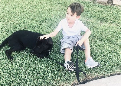 Houston Humane Society | Happy Tail Felipe