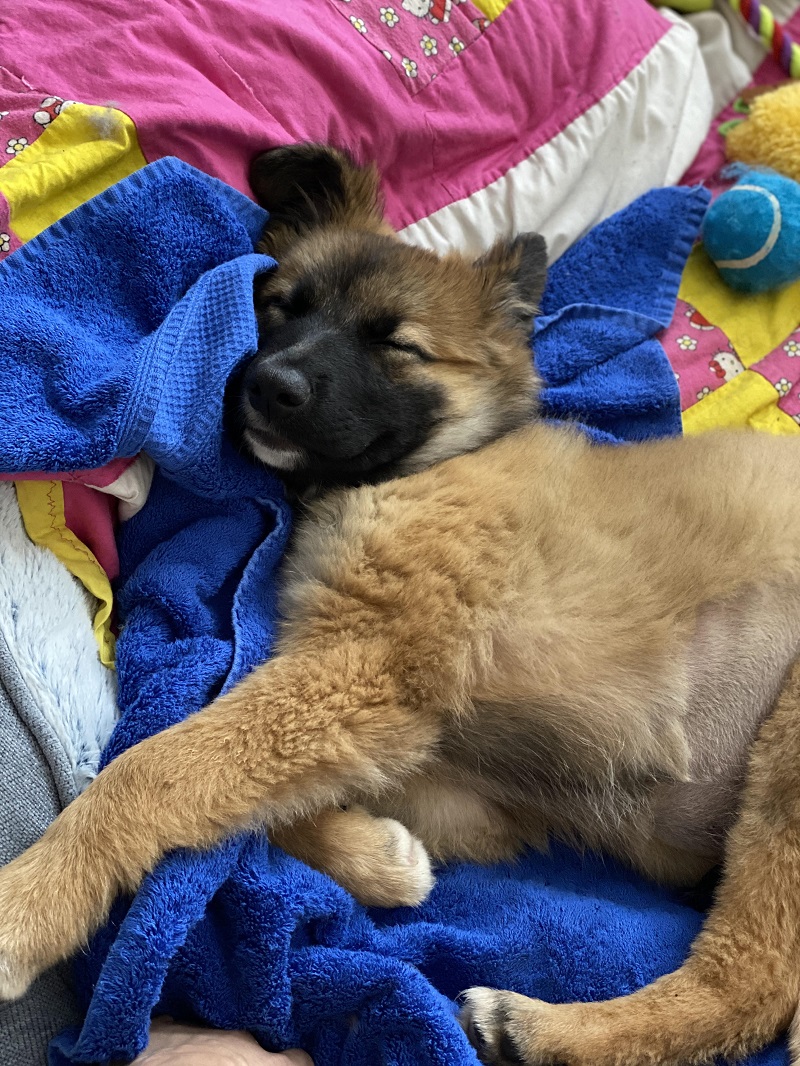 htkahlua2