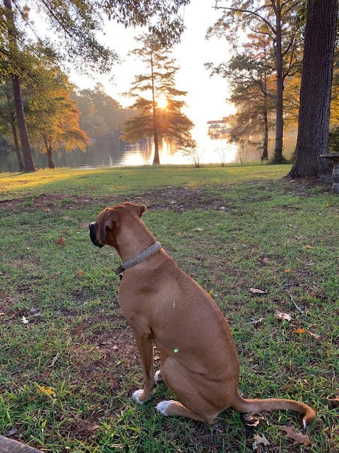 htlouie2