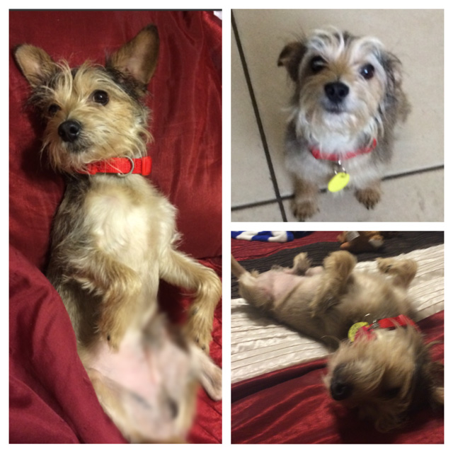 htscrappy1