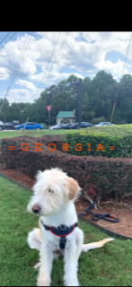 htskipper4