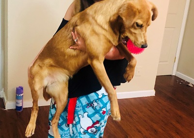 Houston Humane Society | Happy Tail Wendy