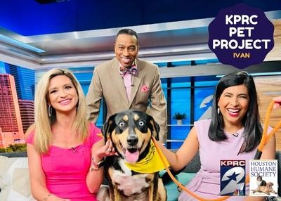 Houston Humane Society | Ivan