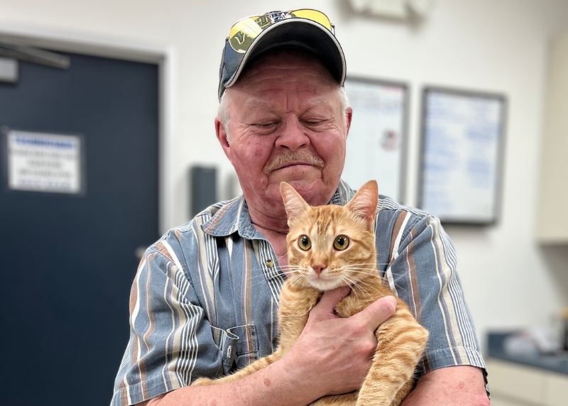 Houston Humane Society | How Houston Humane Society Helped a Veteran Adopt His Emotional Support Cat