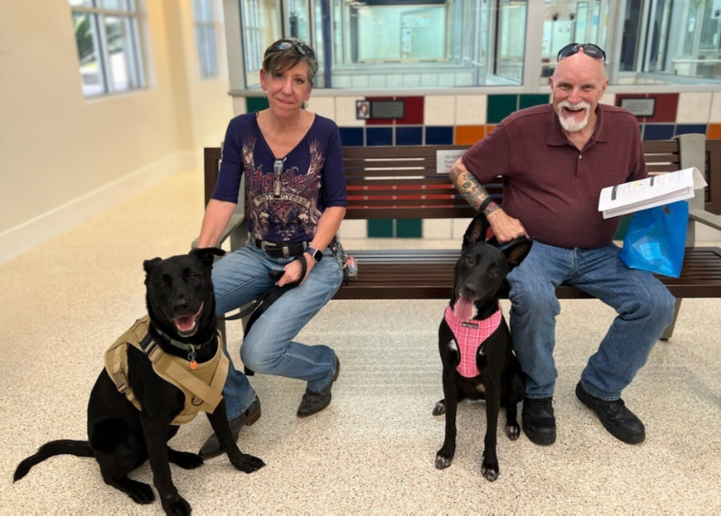 Houston Humane Society | Josie's Happy Tail