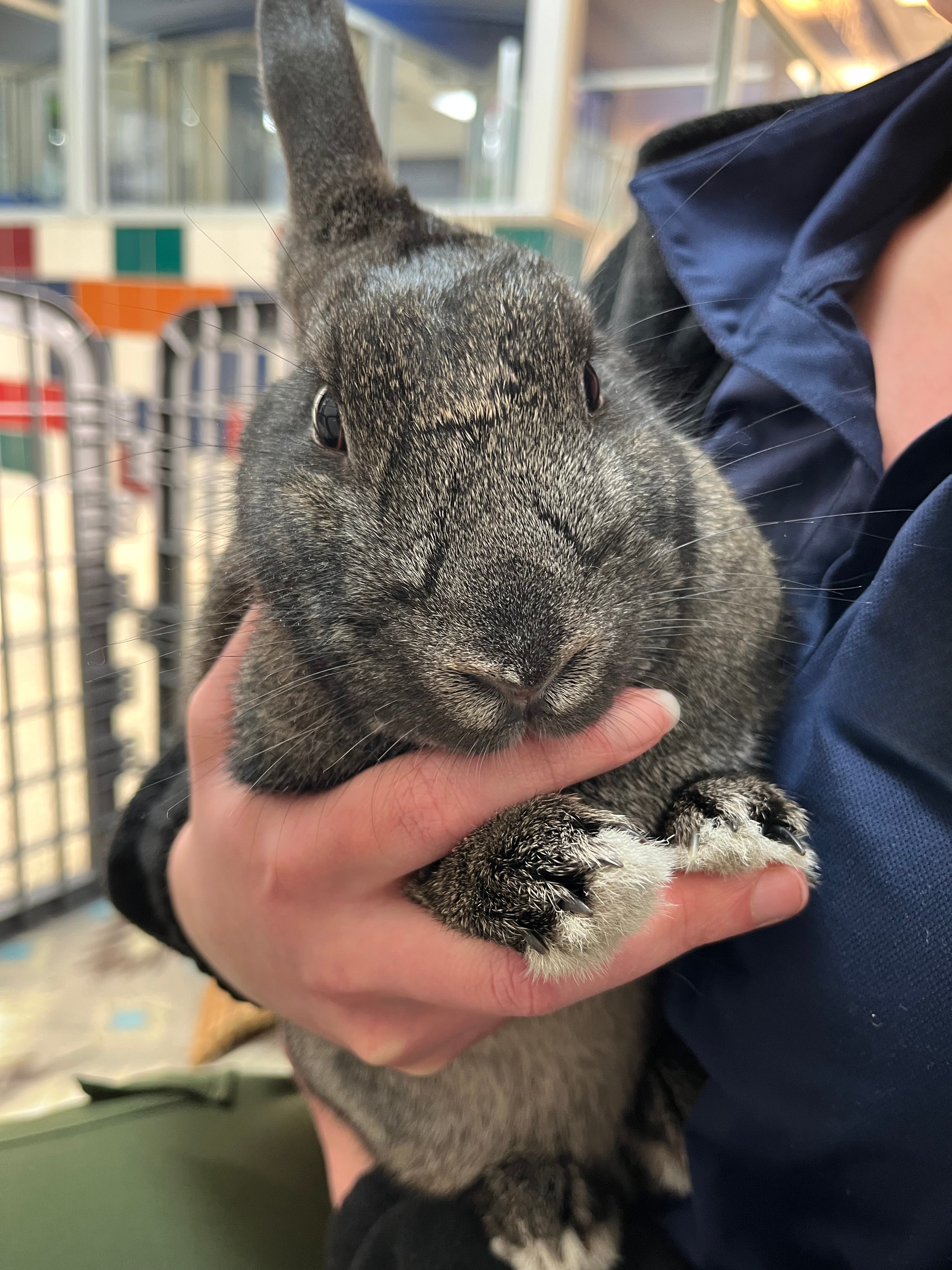 jubilee-4-edited-no-logo