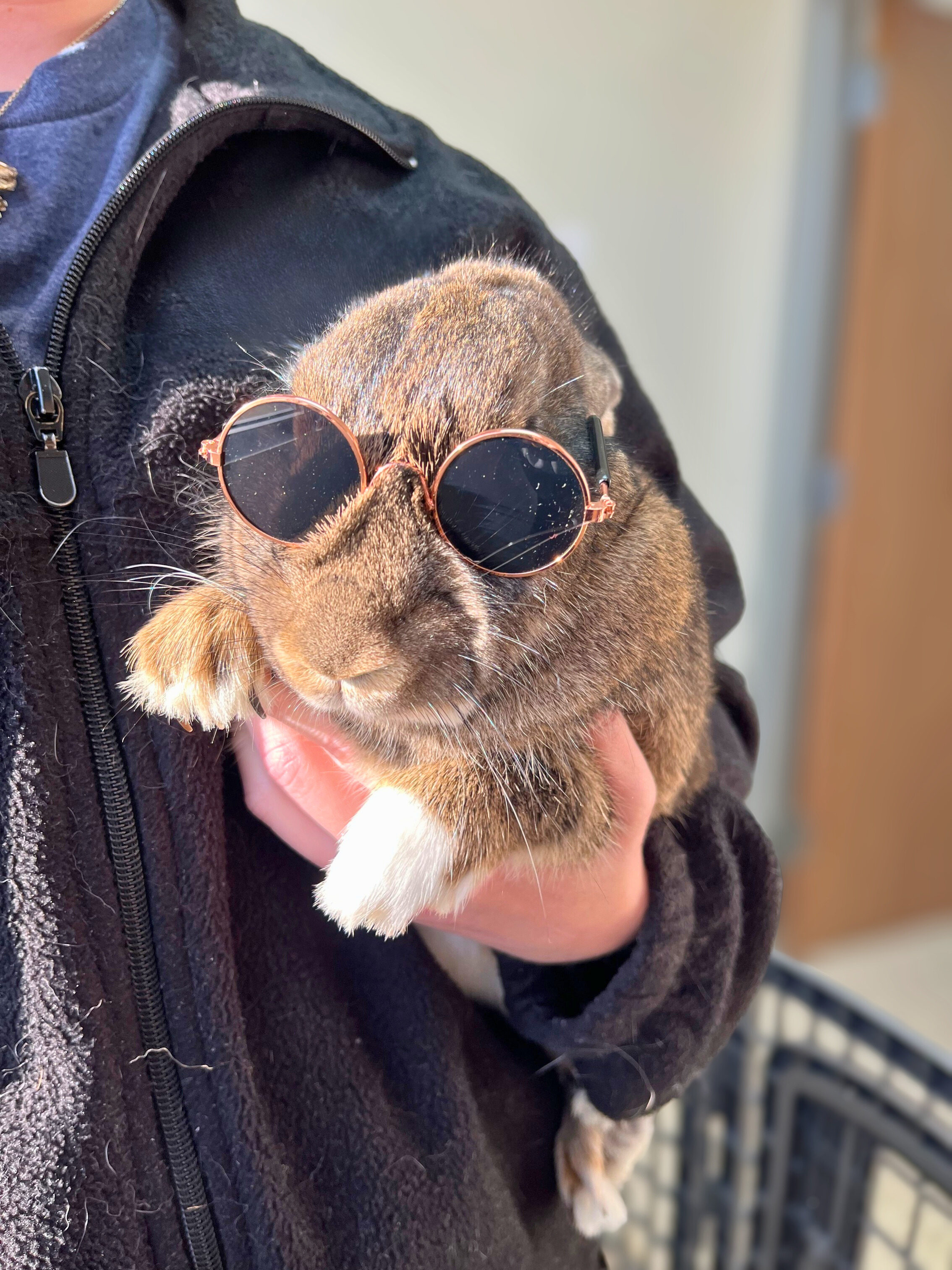 jubilee-3-edited-no-logo